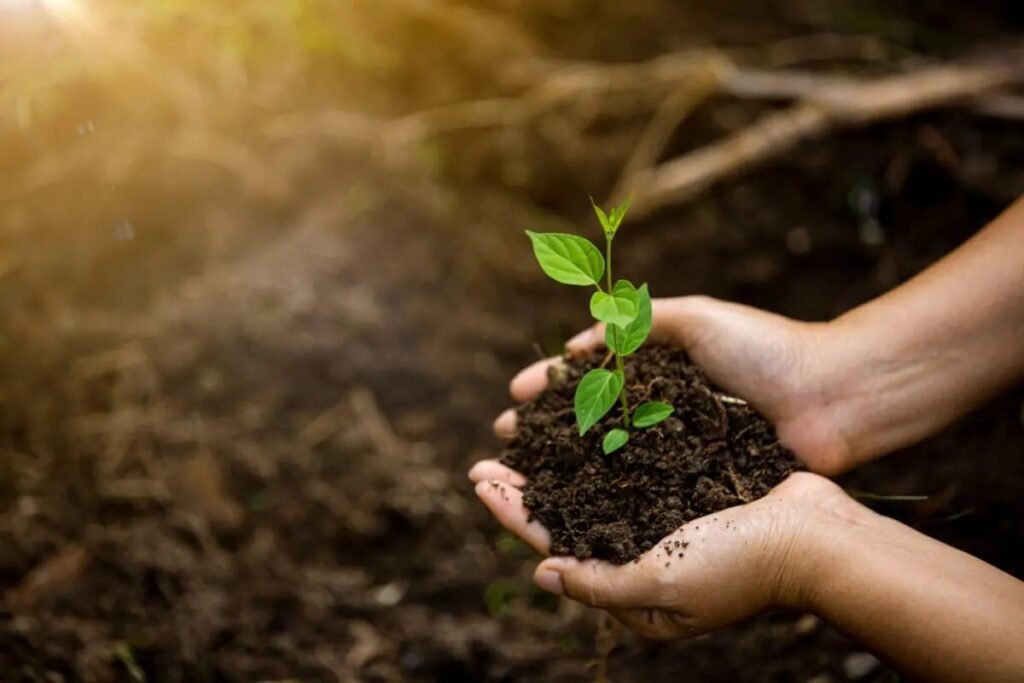 348e9193 c84b 402a b652 1548103eca0b