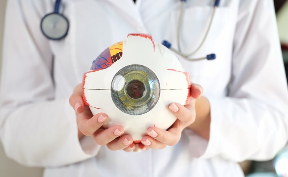 c84f74d8 22fb 49b6 8c89 6dbf1f1eb142