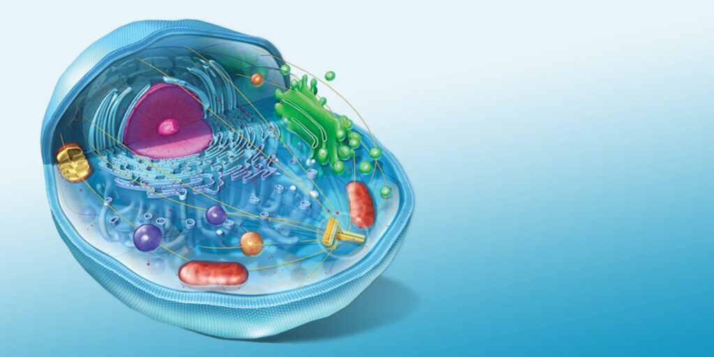 ec4edfb3 4871 48cd 9ec5 5426fce2b52f