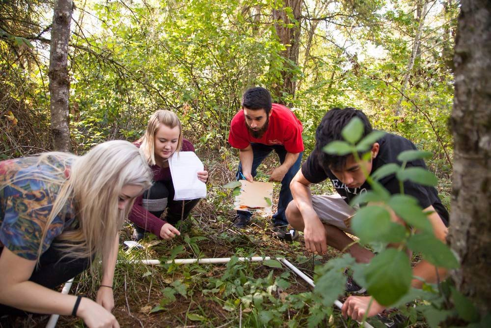 environmentalscience