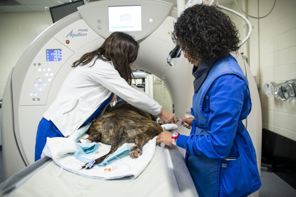 nickb 150505 3234 1680x1120